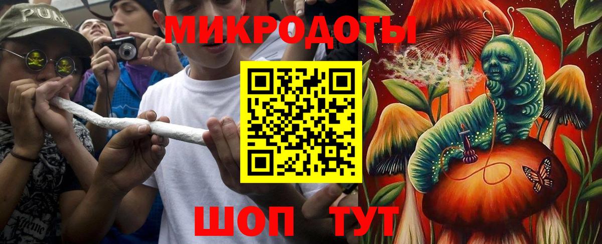 Галлюциногенные грибы прущие грибы Геленджик