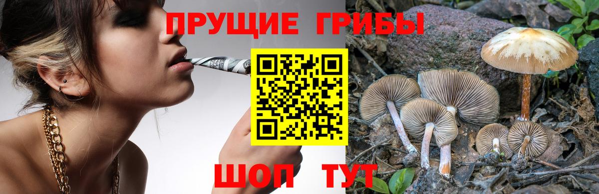 Геленджик  Галлюциногенные грибы Cubensis  Вход с VPN 